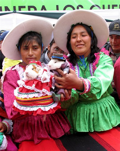 Peru Guinea Pig Festival