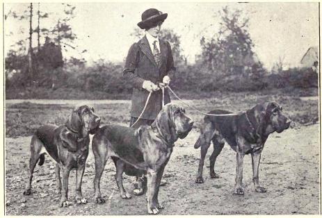 http://retrieverman.files.wordpress.com/2010/05/1915-bloodhounds.jpg