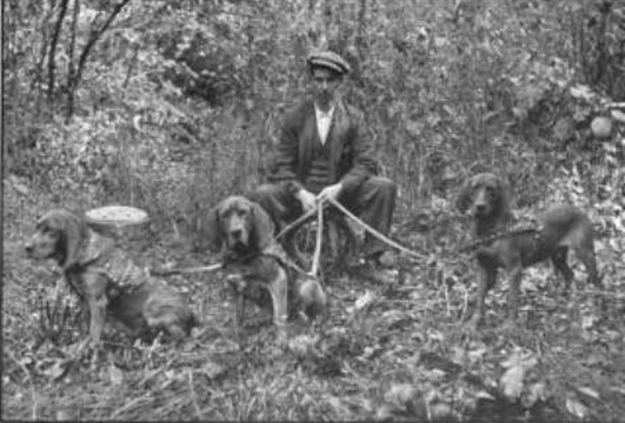 http://retrieverman.files.wordpress.com/2011/06/musgraves-west-virginia-man-trailing-bloodhounds.jpg