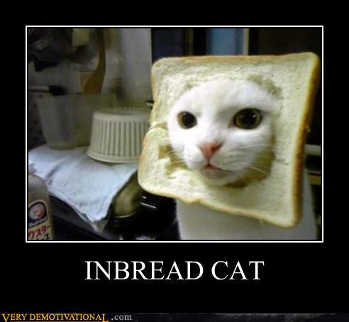 in-bread.jpg
