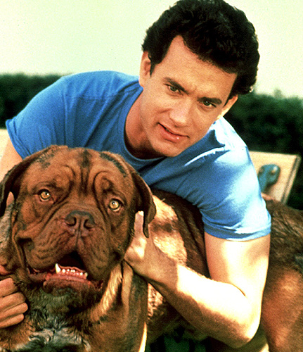 what kind of dog is hooch on turner and hooch