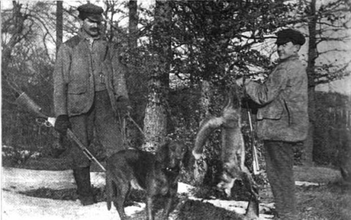 michigan foxhound 1908